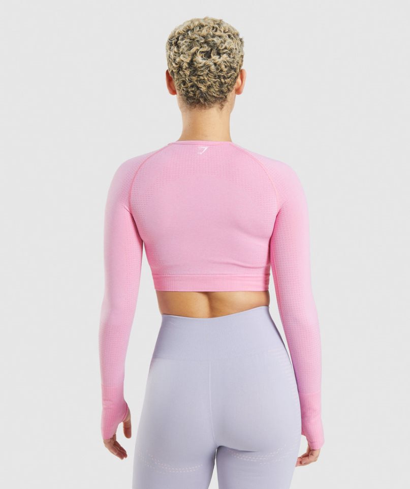 Women's Gymshark Vital Seamless 2.0 Cropped Tops Pink | CA 08A5N6